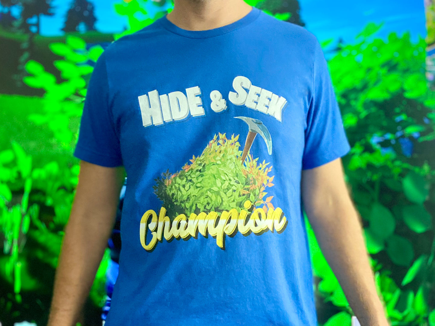 Hide & Seek Champion